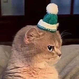 Meet your Posher, Catherine